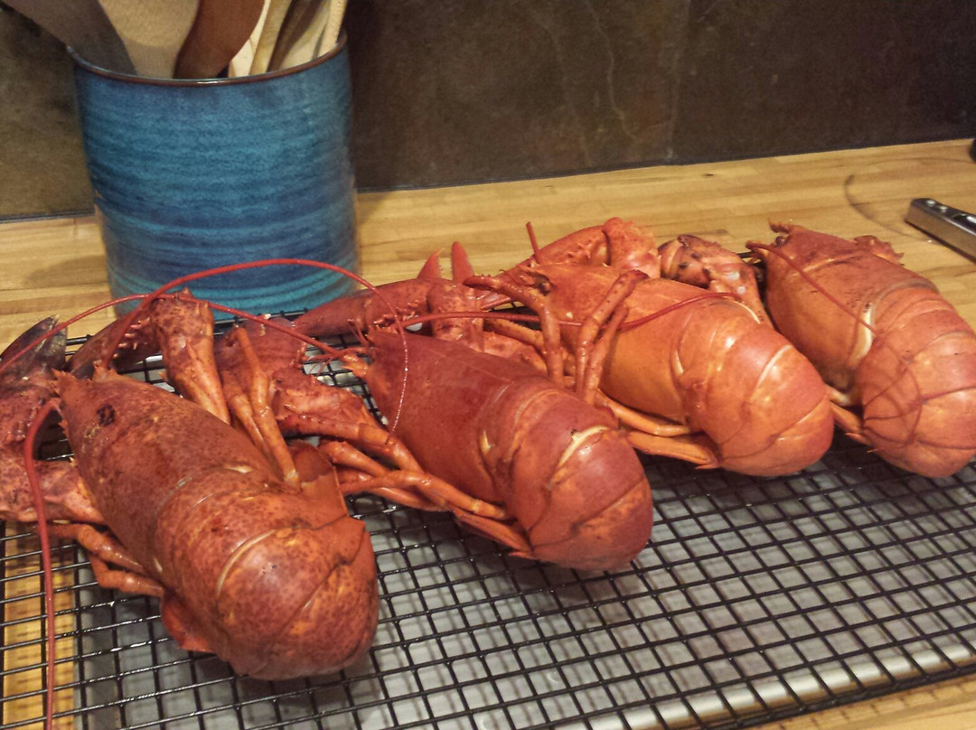 Stonington Lobster CO-OP景点图片
