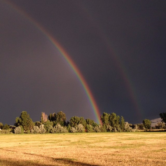 The Very Nice Brewing Company-Nederland必去景点