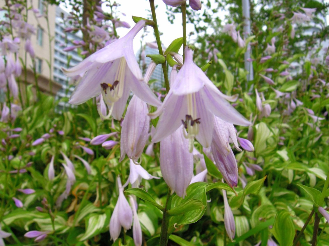 丹东威尼斯建国饭店主图