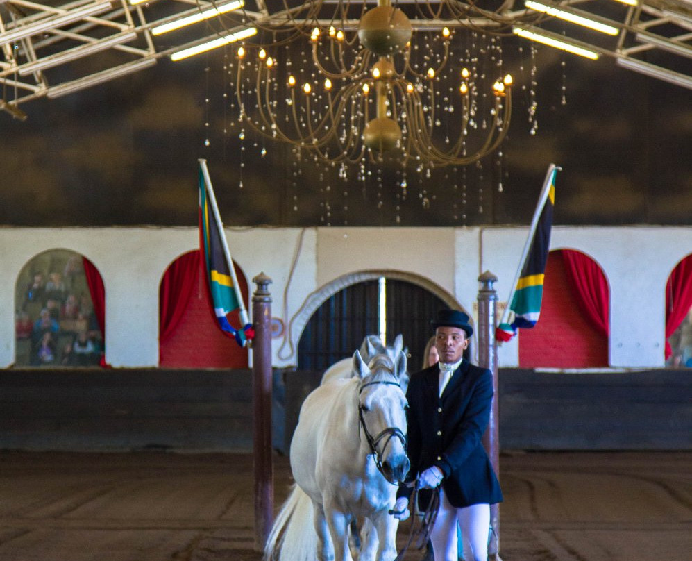 The South African Lipizzaners景点图片