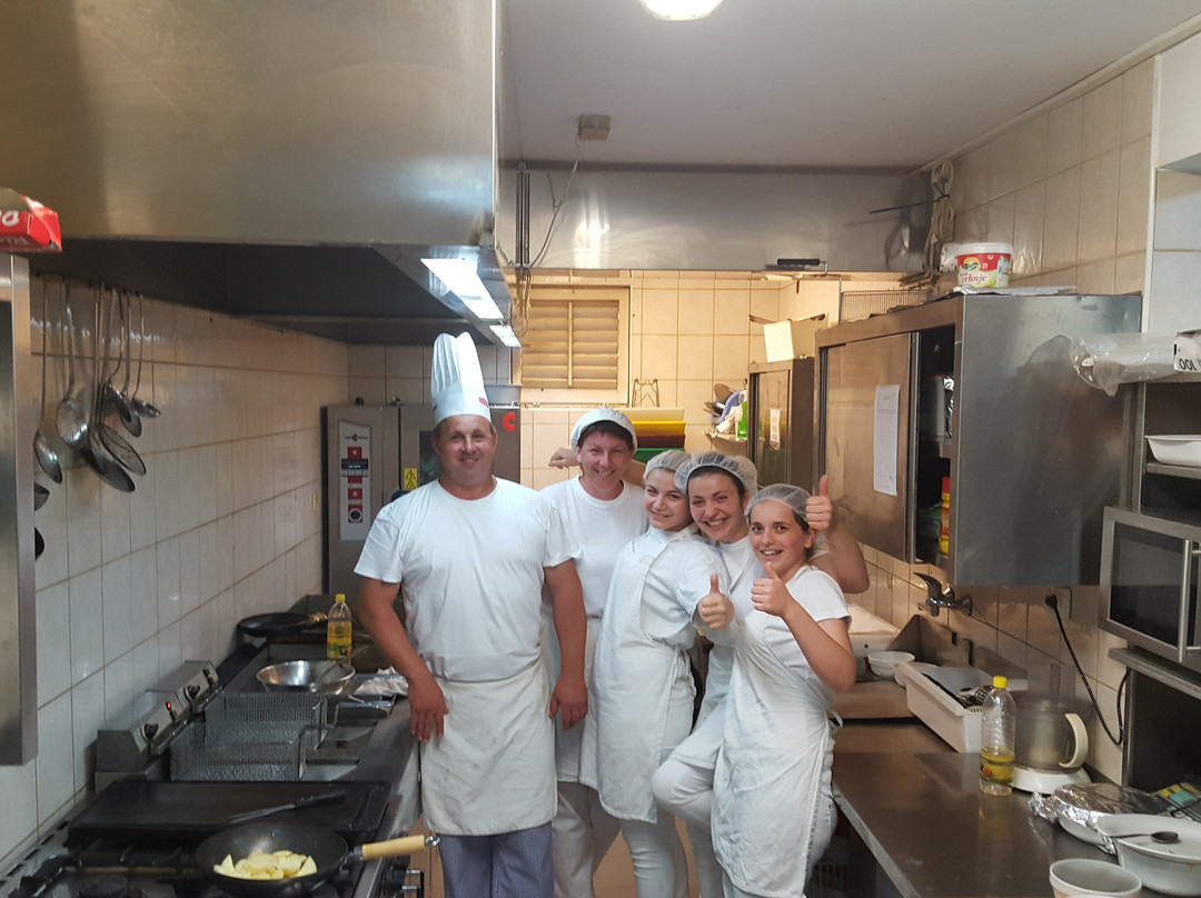 Pansion Dragica主图