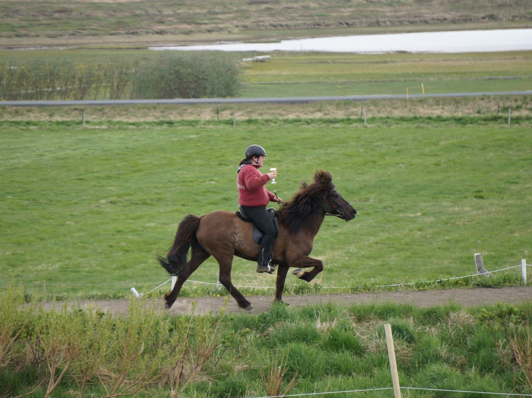 Gauksmyri Lodge-华姆斯唐吉必去景点