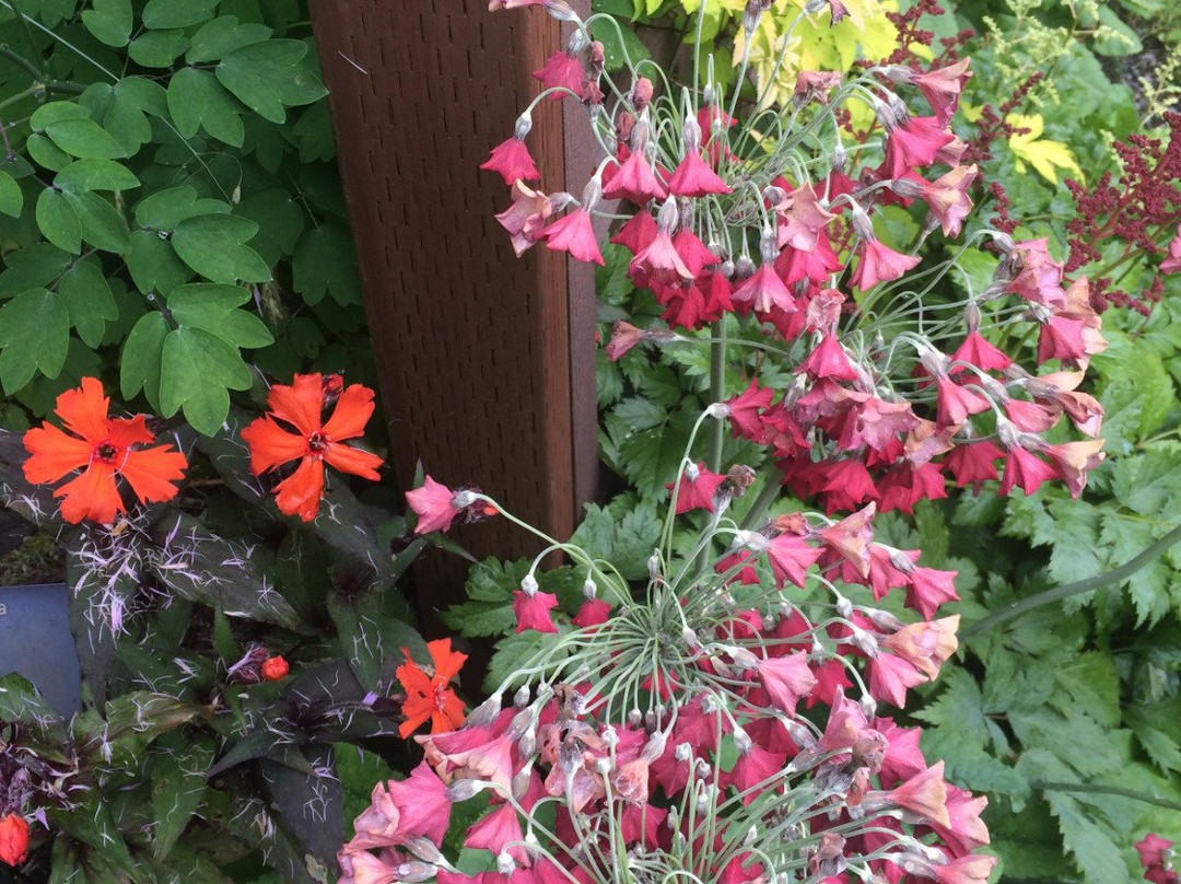 Jensen-Olson Arboretum-朱诺必去景点