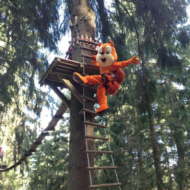 Action Forest Kletterwald景点图片