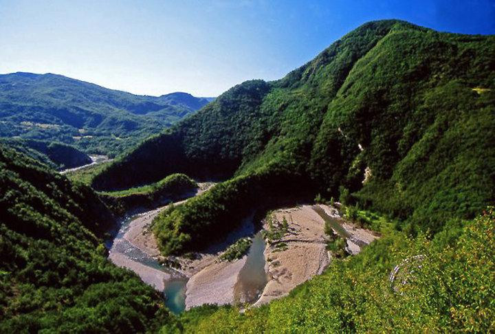 Cerignale旅游景点-Elefante del Trebbia