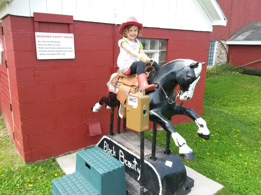 Plum Loco Animal Farm-Egg Harbor必去景点