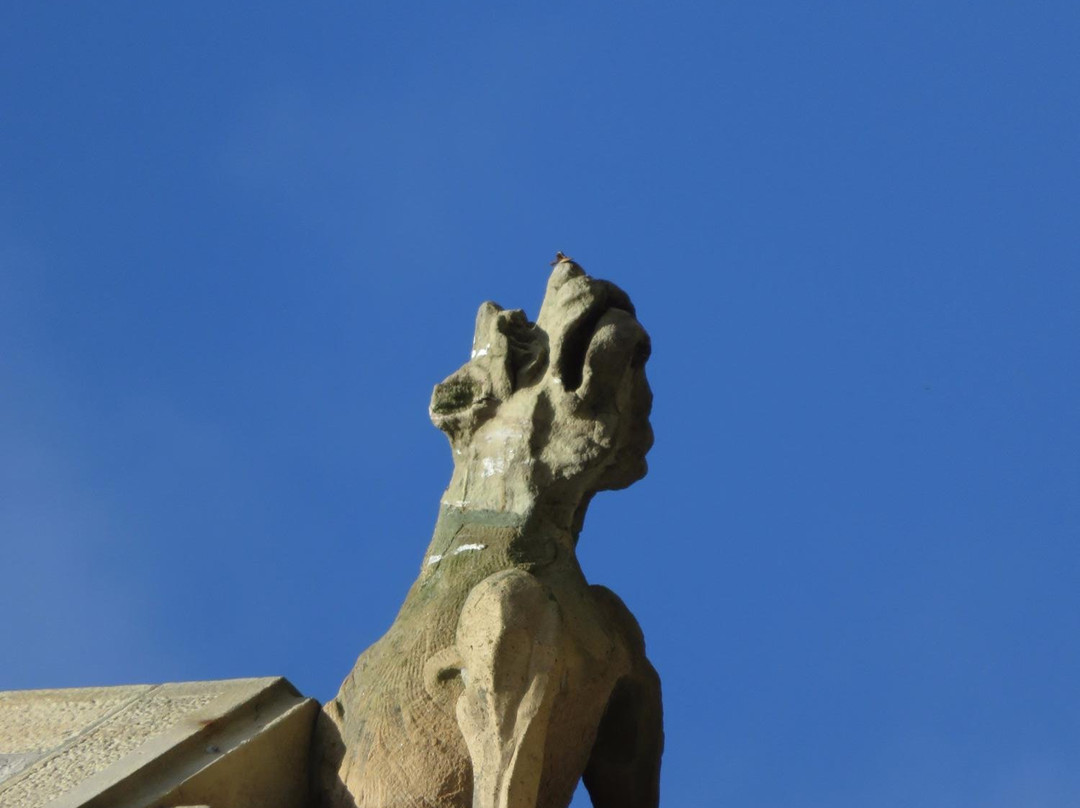 Dunfermline Public Park-丹弗姆林必去景点