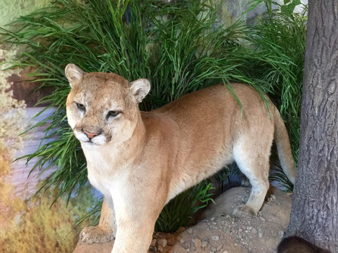 La Joya旅游攻略图片