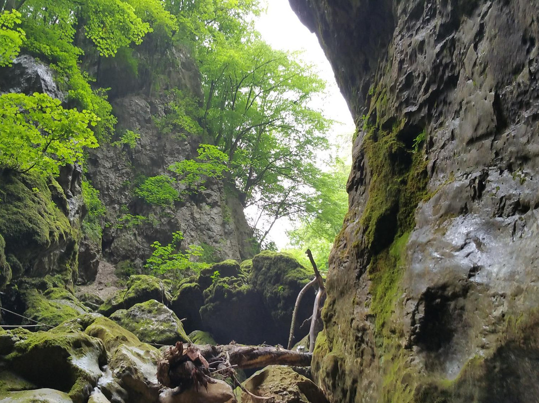 Pazin Cave景点图片