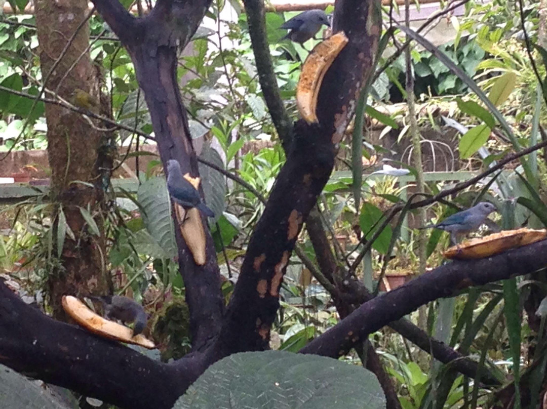 Rancho Esmeralda-明多必去景点