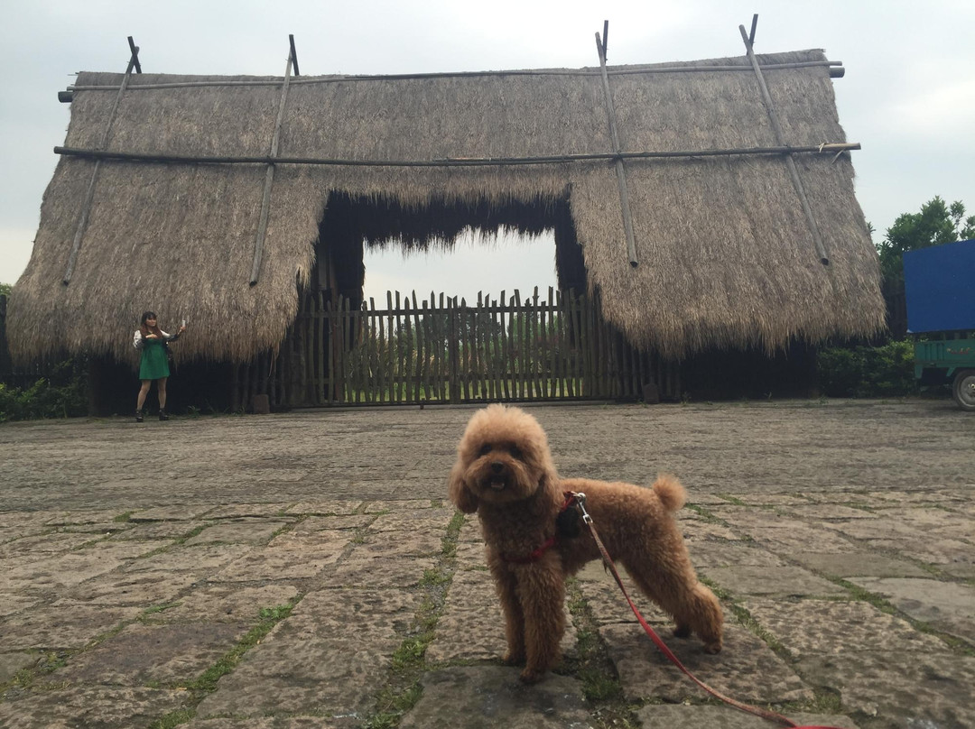河姆渡遗址-余姚市必去景点