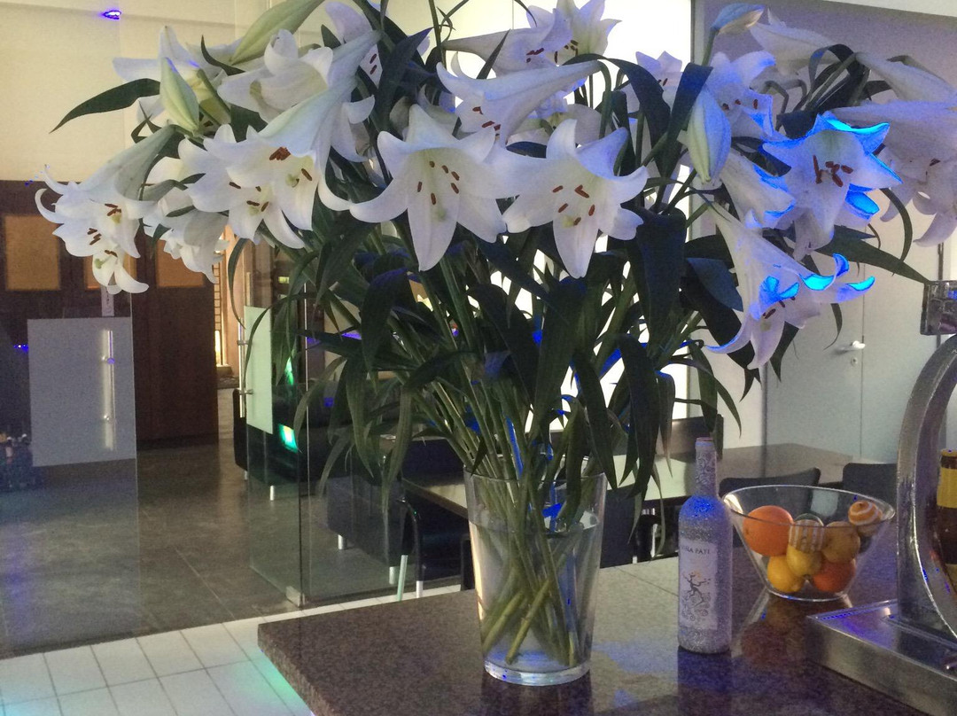 The Condado Club-Alhama de Murcia必去景点