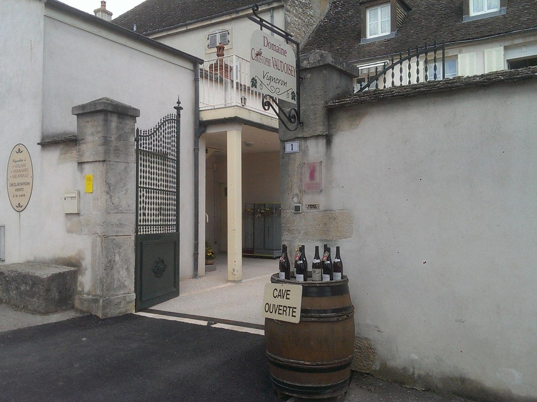 Domaine Christophe Vaudoisey, Vigneron景点图片