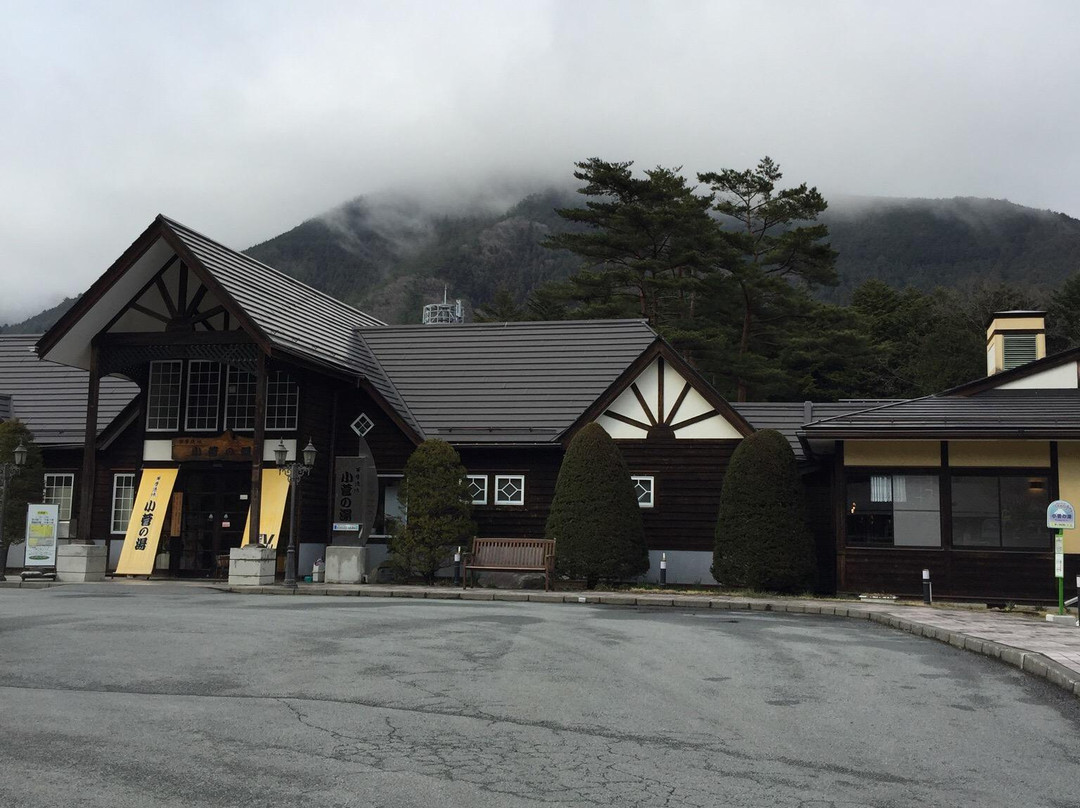 Kosugenoyu-小菅村必去景点