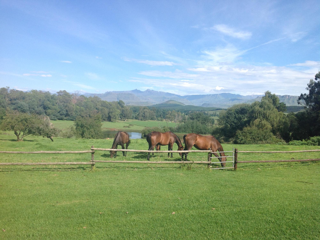 Absolute Polo-安德堡必去景点