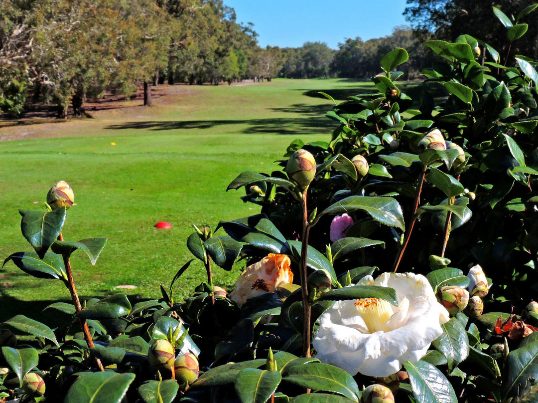 Bribie Island Golf Club-Woorim必去景点