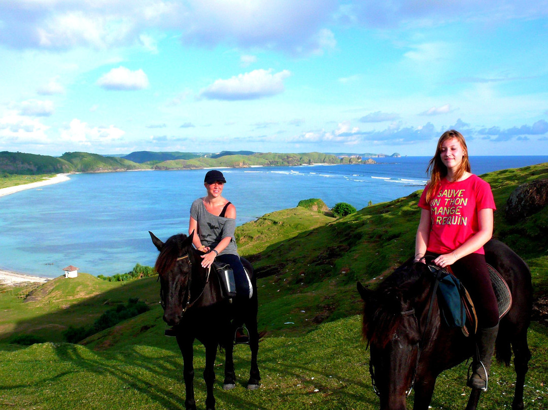 Kuta Horses-Kuta必去景点