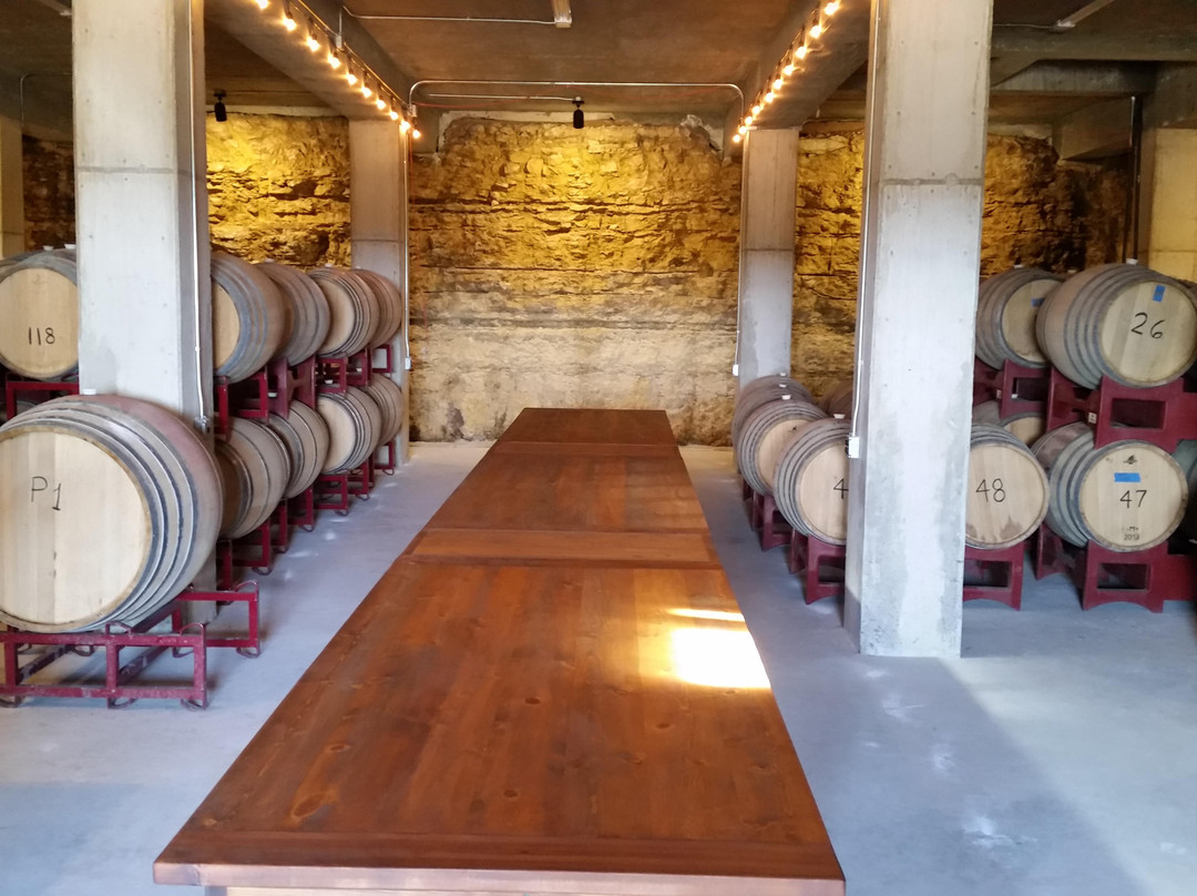 Hawk's Shadow Winery-Dripping Springs必去景点