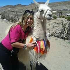 Paseo Con Llamas-San Antonio de los Cobres必去景点