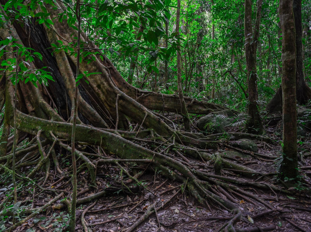 Venture Deeper-Mossman必去景点