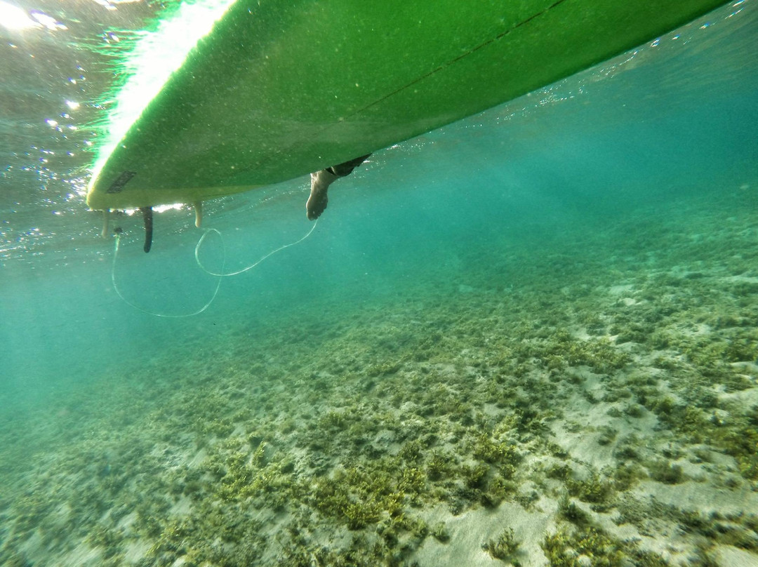 Surf Up Martinique-La Trinite必去景点