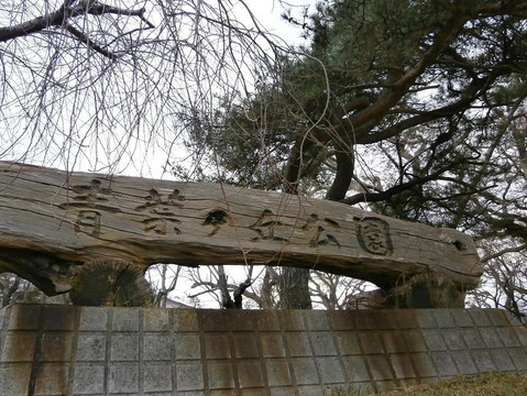 Aobagaoka Park-森町必去景点