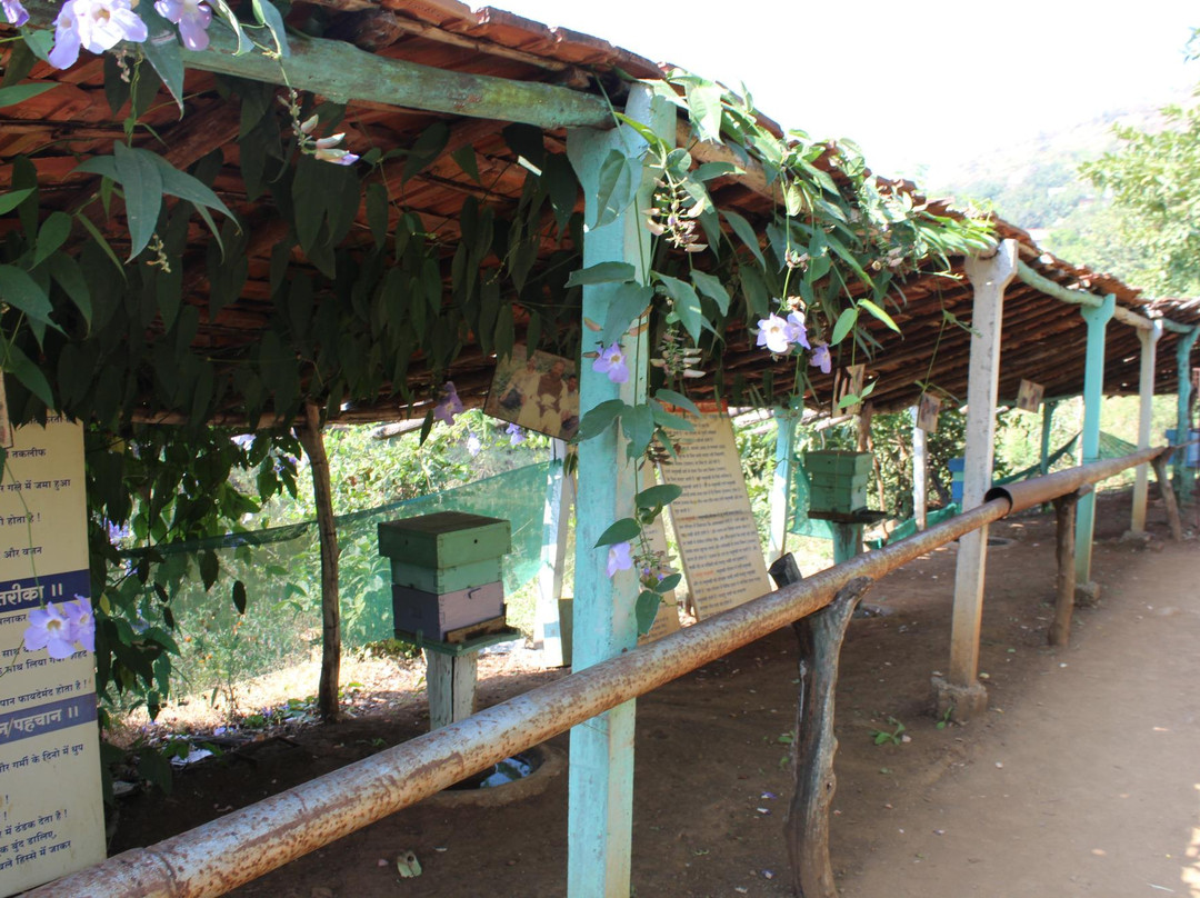 Honey Bees Centre-Saputara必去景点