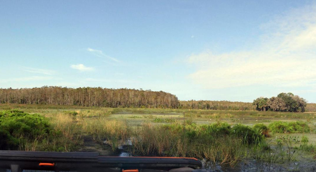 Orange Jeep Tours-Ave Maria必去景点