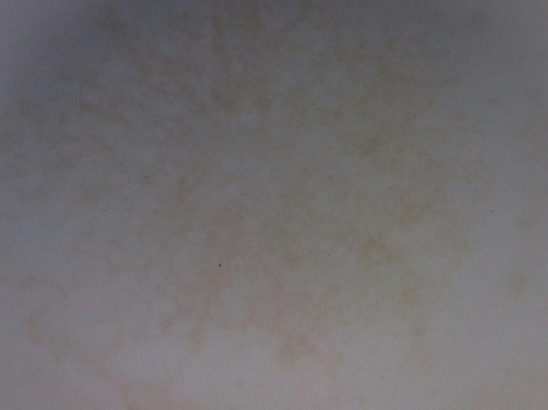 Pathanivas Chandaneswar主图