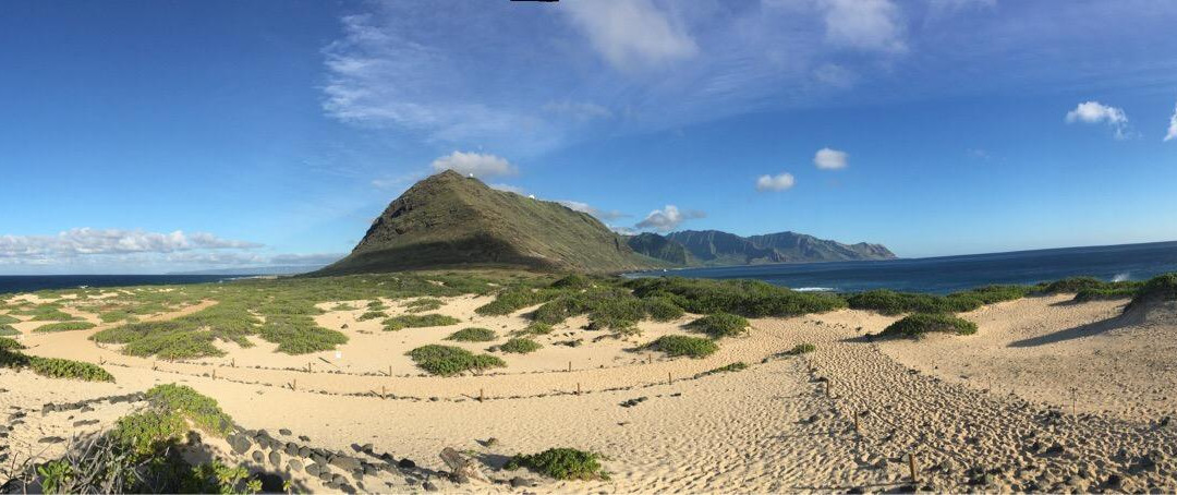 Off-road Adventure-火奴鲁鲁必去景点