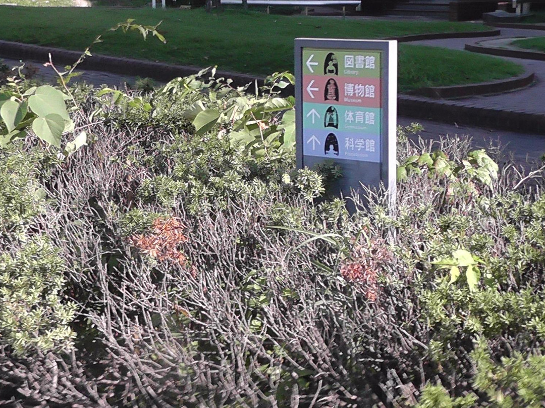 Handanra Science Center-半田市必去景点