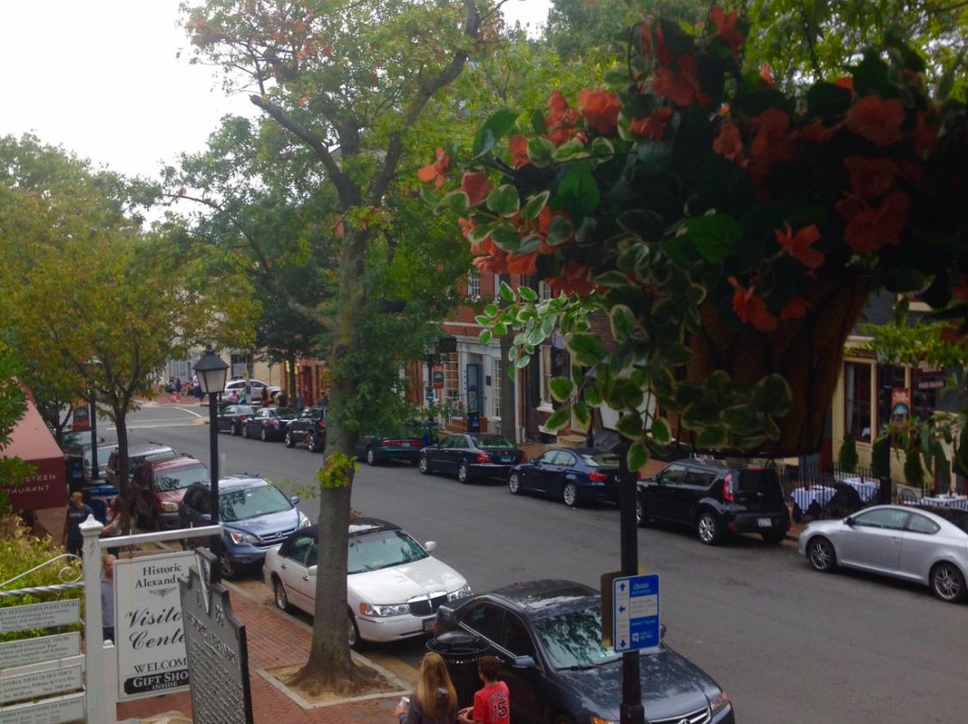 Alexandria Visitors Center-亚历山德里亚必去景点