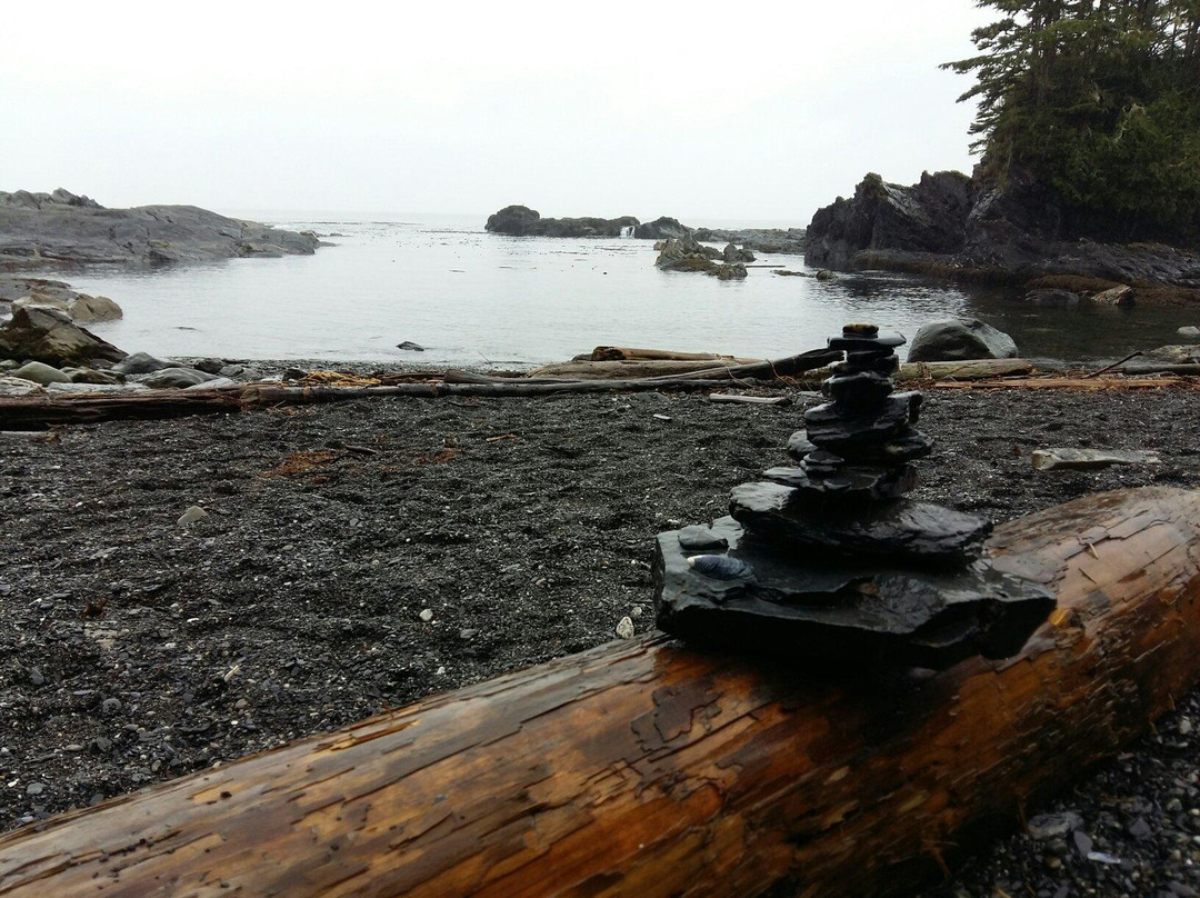 Botanical Beach Provincial Park景点图片