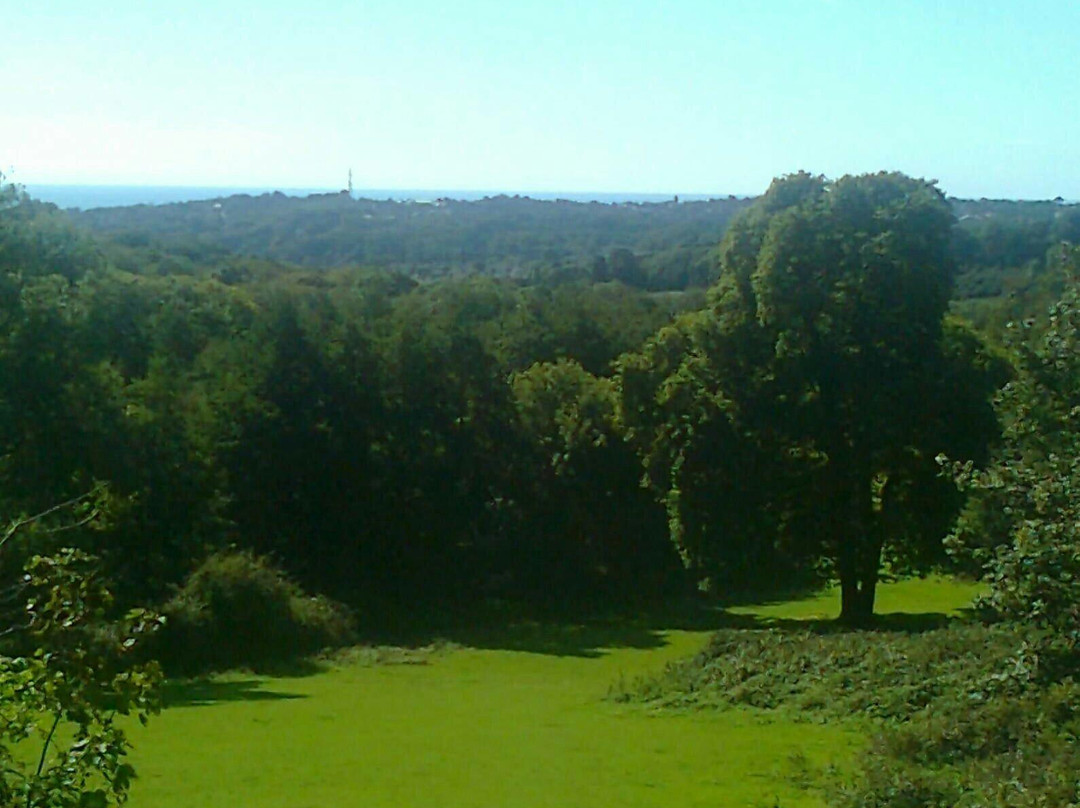 St Helens Park景点图片