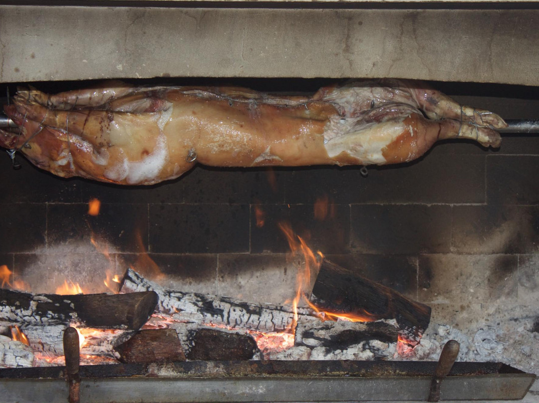 Fiore Tours-波雷奇必去景点
