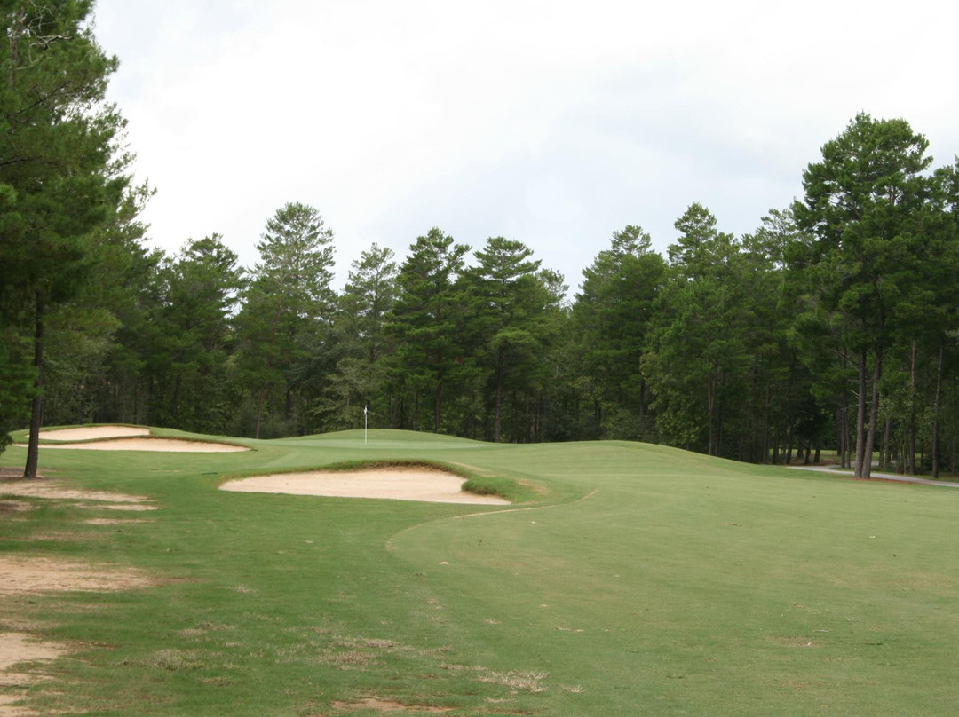 Blackstone Golf course-Mossy Head必去景点
