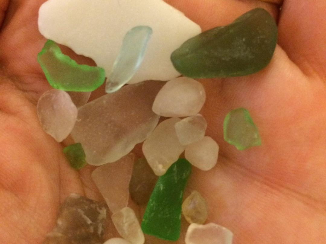 Grand Mere State Park-Stevensville必去景点