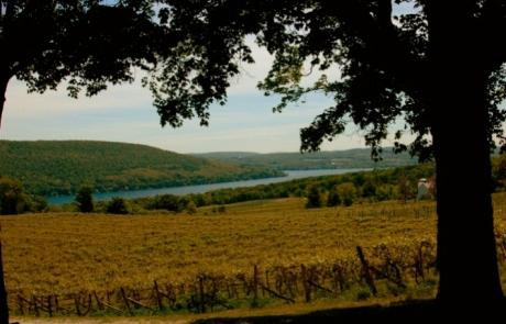 Amber Waves Farm Bed & Breakfast主图