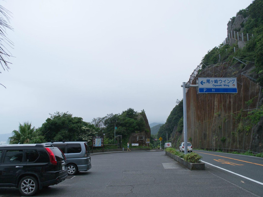 Ogasaki Wing Lookouts景点图片