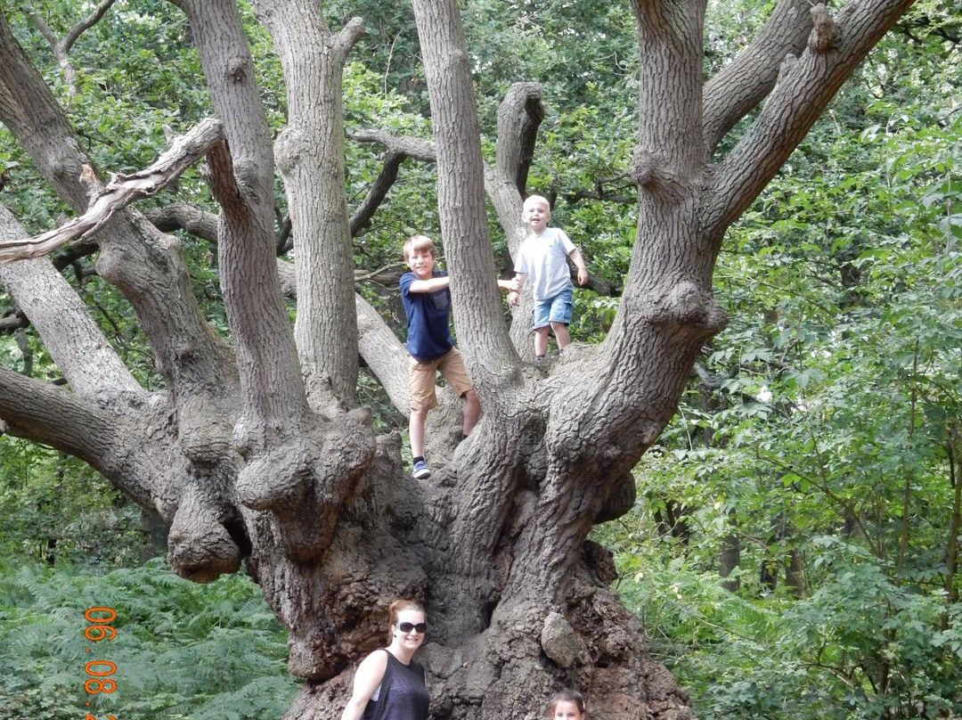 Epping Forest Visitor Centre景点图片