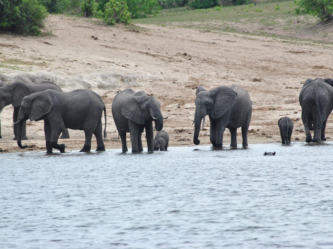 Macit Tours - Day Tours-桑顿必去景点