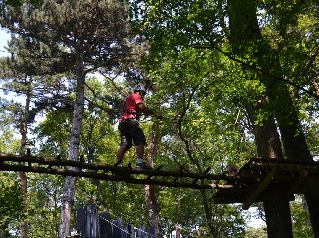 Waldseilpark Kahlenberg-维也纳必去景点