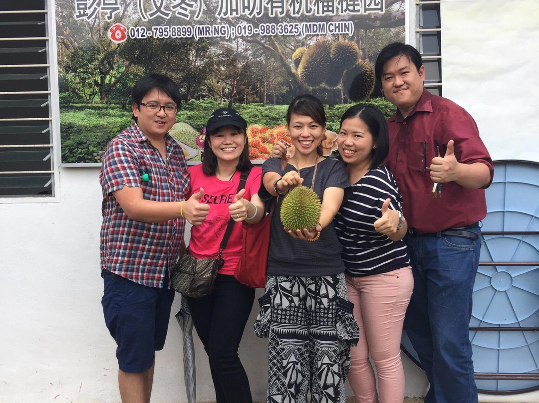 Karak Organic Durian Farm-加叻必去景点