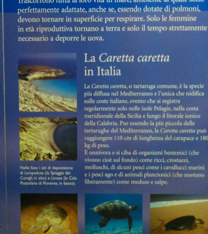 Acquario della laguna di Orbetello景点图片