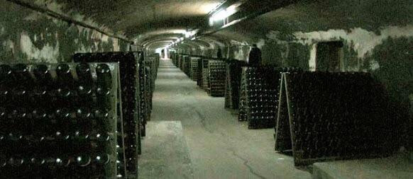 Bodega Santa Rosa-蒙得维的亚必去景点