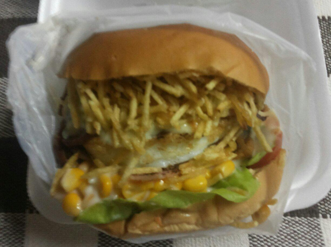 Ervalia餐馆和美食-Lanchonete e Hamburgueria Agua Na Boca