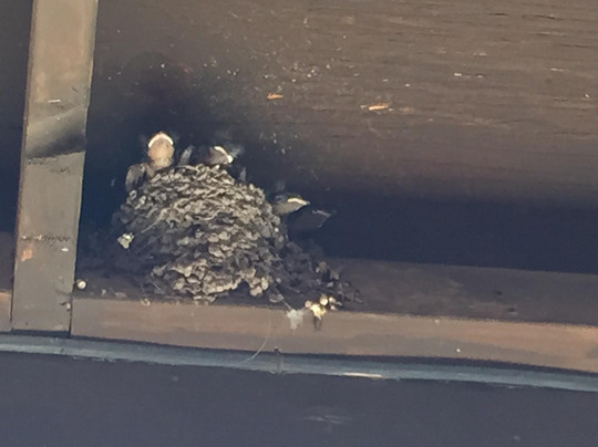 The Stone Village Tourist Camp主图