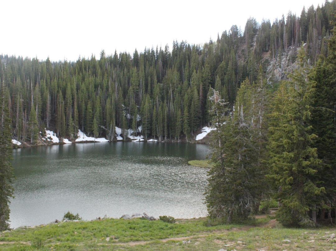 Guardsman Pass Scenic Backway-帕克城必去景点