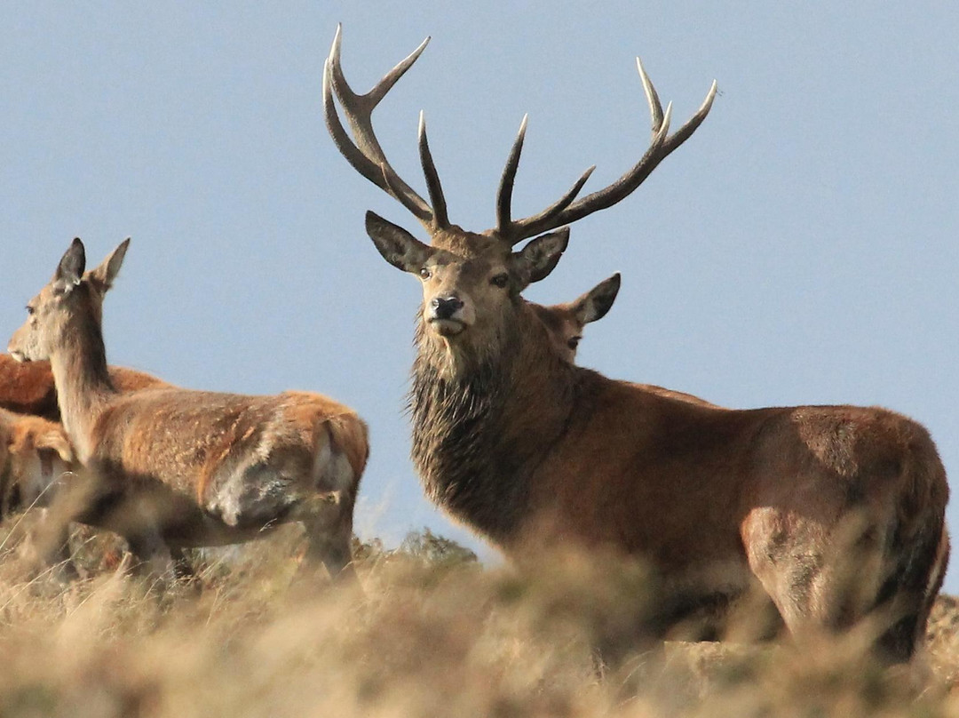 Exmoor Photography Course-迈恩黑德必去景点