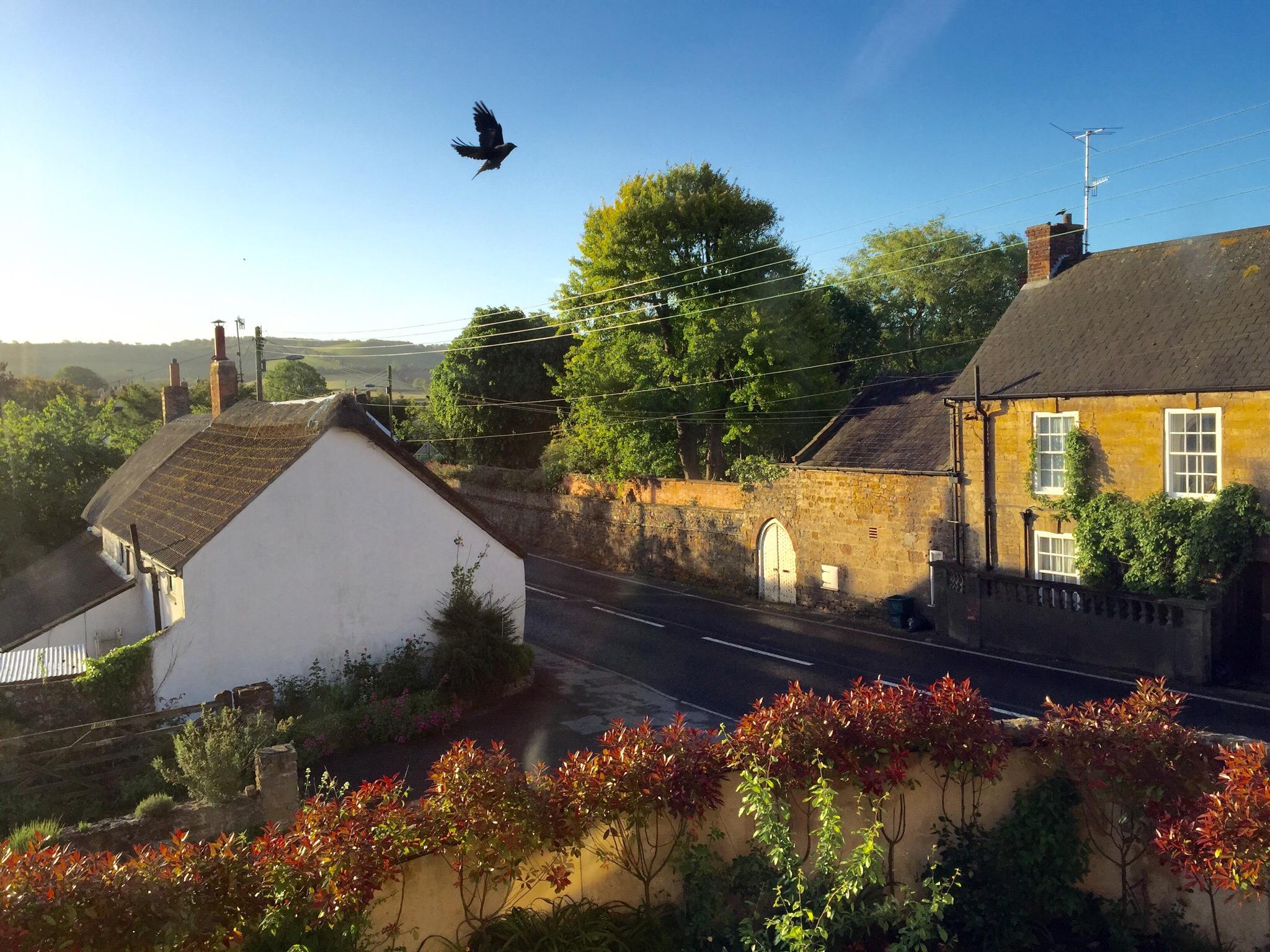 Chideock House Bed and Breakfast-官方